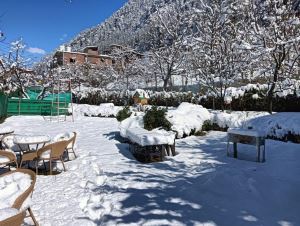 Manali Meadows Boutique Stay Manali